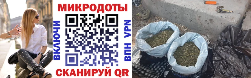 закладка  Гремячинск  Псилоцибиновые грибы мухоморы 